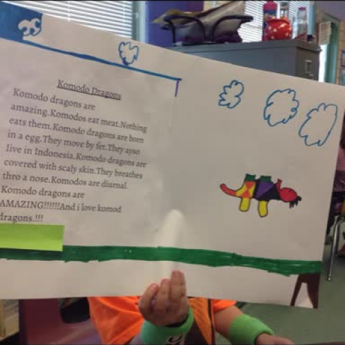 First Grade Komodo Dragon Report