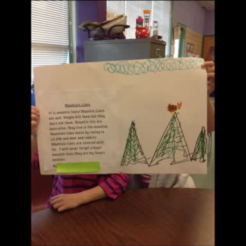 First Grade Mountain Lion Report