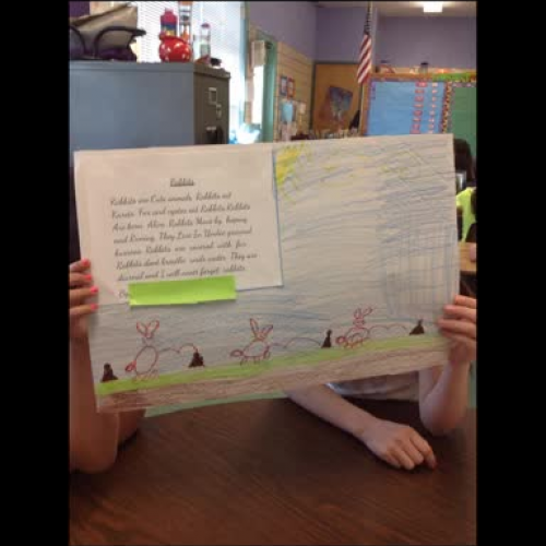 First Grade Rabbit Report