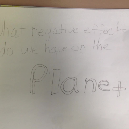 What Negative Effects Are We Having On The Pl