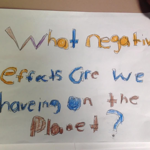 What Negative Effects Are We Having On The Pl