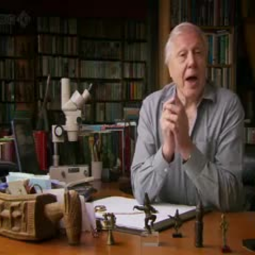 eyes evolution argument attenborough