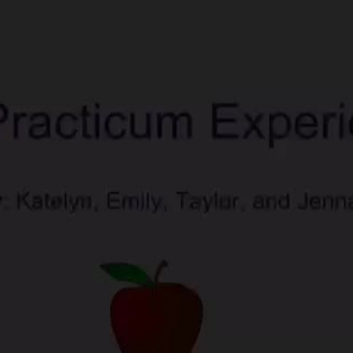 Our Practicum Experience!