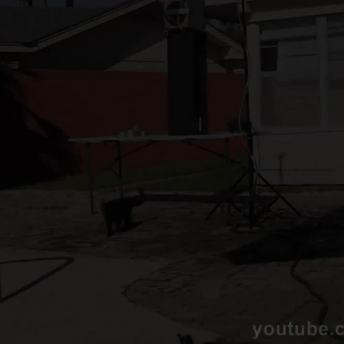 Amazing Water _ Sound Experiment 2