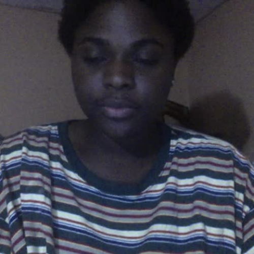 3.02 describing the family visual assignment