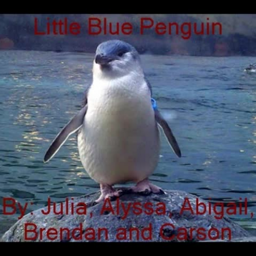 Penguin Photo Story - Julia, Alyssa, Abigail,