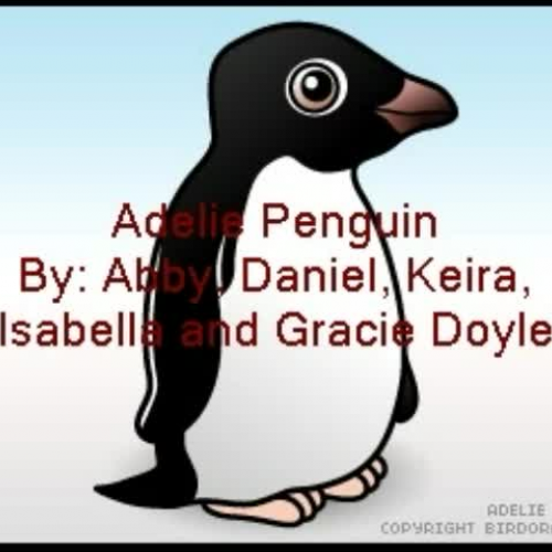 Penguin Photo Story - Keira, Daniel, Abby, Is
