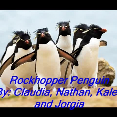 Penguin Photo Story - Claudia, Nathan, Kaleb,