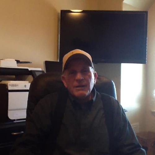 DCSD Flower Research - Sunflowers