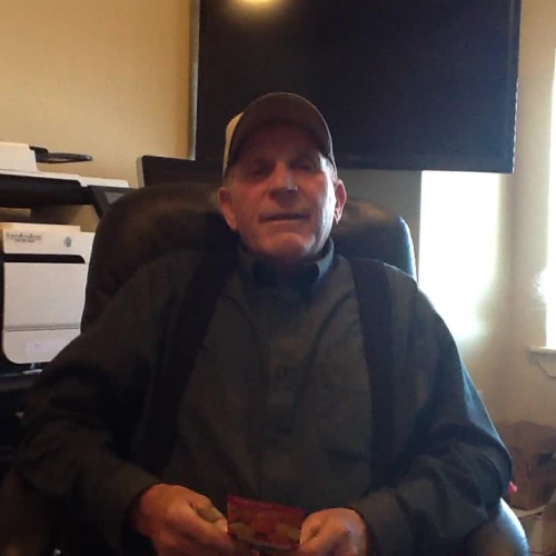 DCSD Flower Research - Marigolds