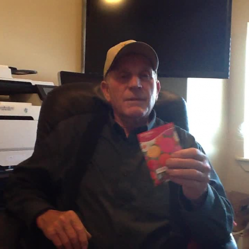 DCSD Flower Research - Zinnias