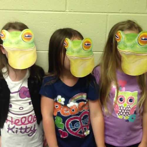 red eyed tree frog Olivia, Bella, and Madison