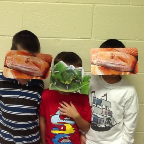 Boa Constrictor- Ethan, Brenden, &amp; Gray