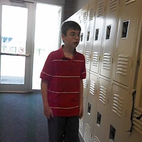 Negatives in Grammar