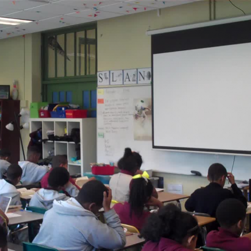 acurrens_Video5_Management