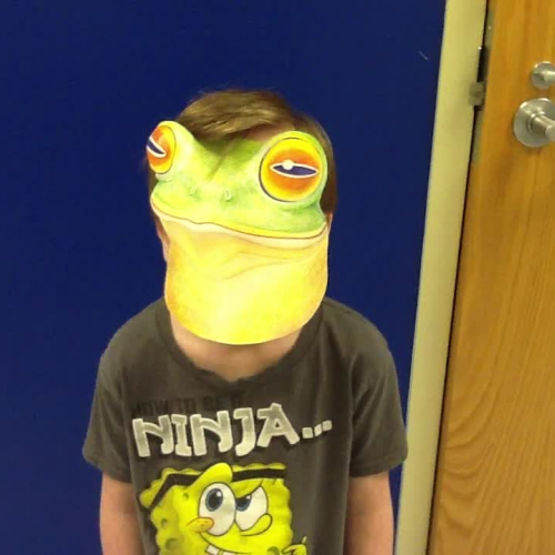 Red Eye Tree Frog Joey