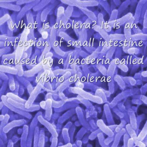 CHOLERA PROJECT BY NDIDI NJAKA_0001