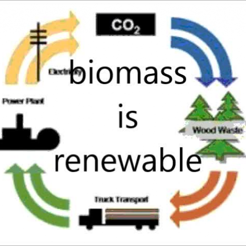 Biomass Energy