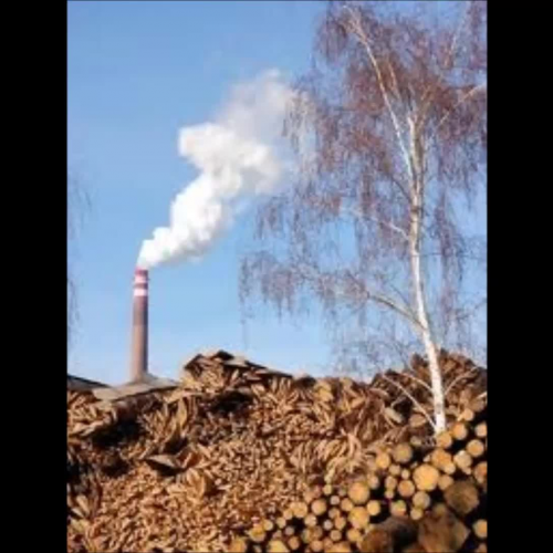 Gracie Noah Kaden biomass