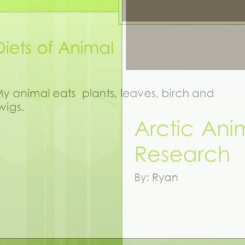 Arctic Animal Research