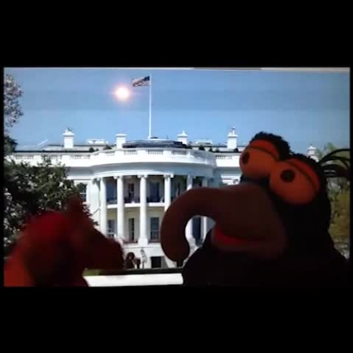 The Muppets go to Washington