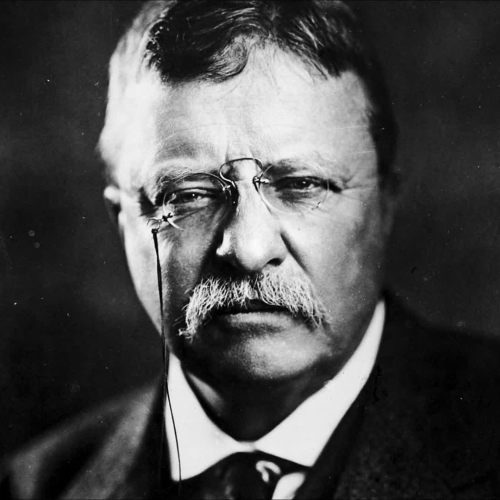 Spanish American War (Theodore Roosevelt)