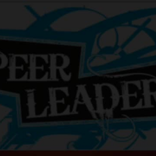 Peer Leadership From All Point of Views By Mi