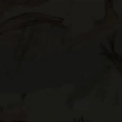 The Three Little Snakes1