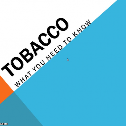 tobacco &amp;  E cigs