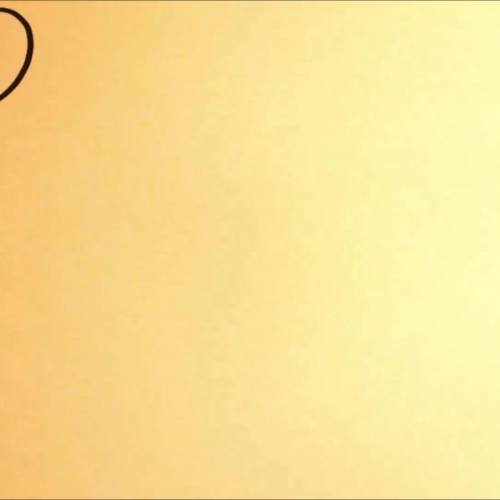 Discrete Data and Column Graphs