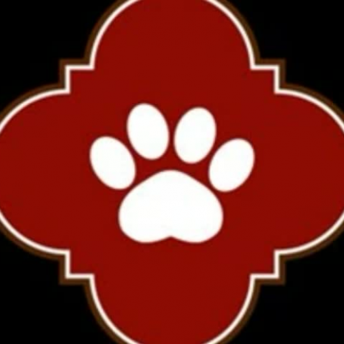 Animal Care Services CW