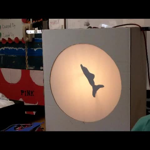 Hobie Ford Workshop Results