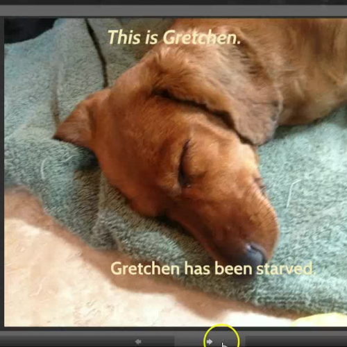 Madison, Parker, Adam