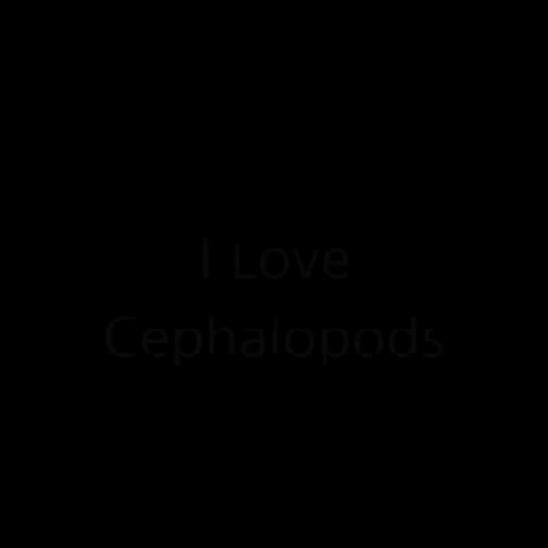 I Love Cephalopods