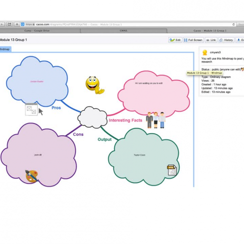 Module 13 review for Cacoo
