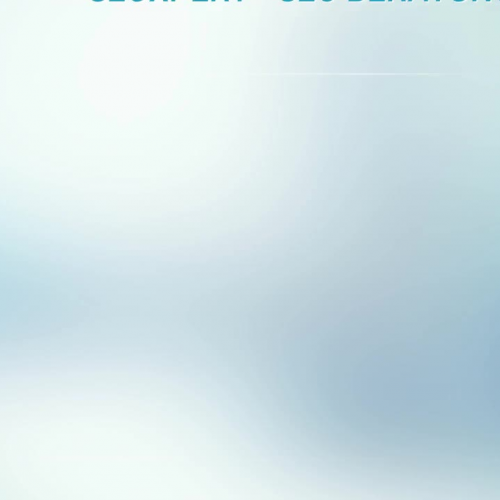 Webseitenanalyse fuer Google