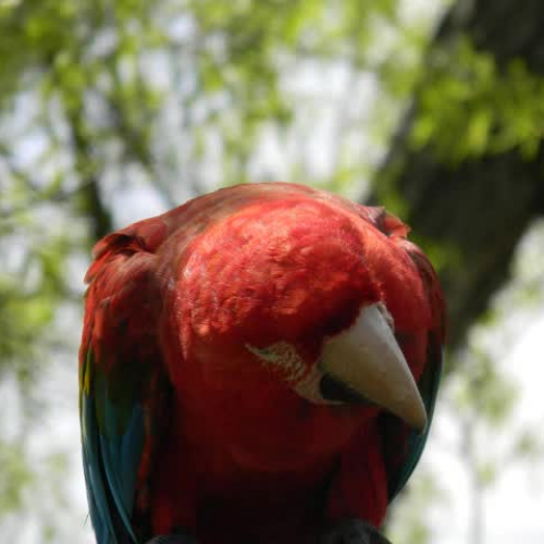 Kindergarten Zoo Trip 2014