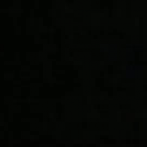 Heracleum mantegazzianum, the Sequel, May2009