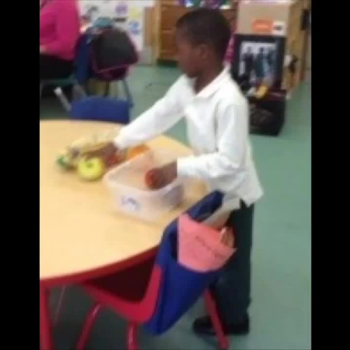 Warwick Kindergarten Science Project for STEM