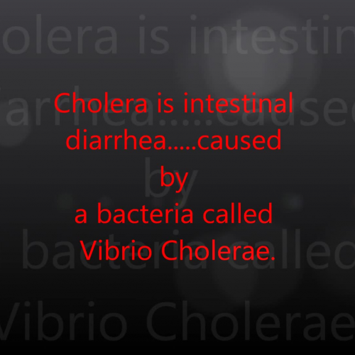 Cholera PSA HLT555