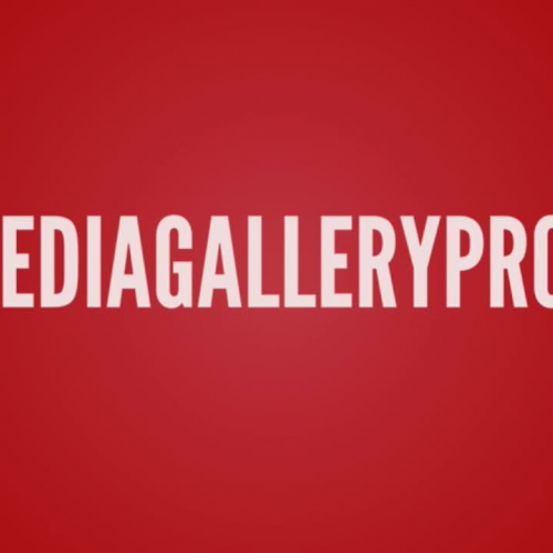 MediaGalleryPro? Media Player for Windows - V