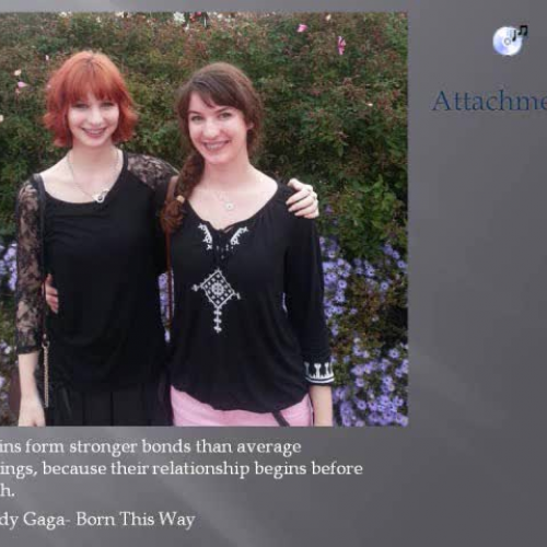 BrookeChavezAPPsychPD7