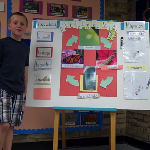 Life Cycle of the Butterfly Interpersonal act