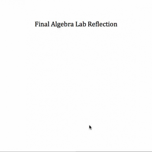 Final Algebra Lab Reflection