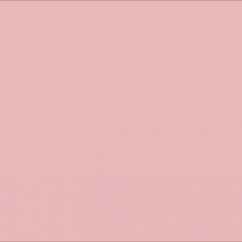 My Movie Maria-Jose EME 4810 Final