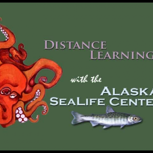 Distance Learning Promotional Video