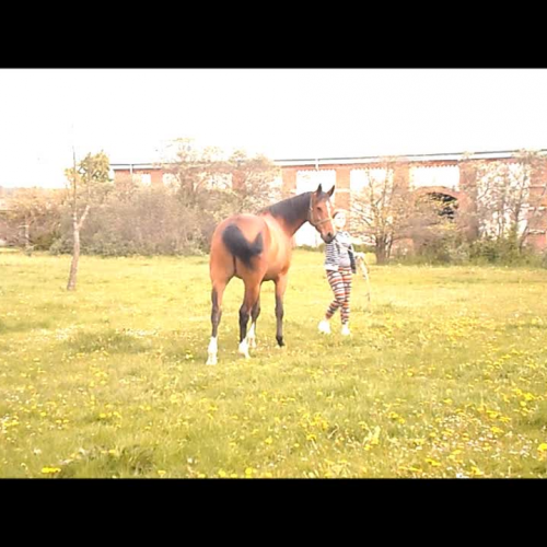 Hobby presentation Kamila&amp;Paulina