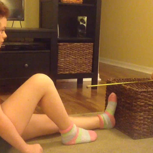 Sit and Reach - Left Leg