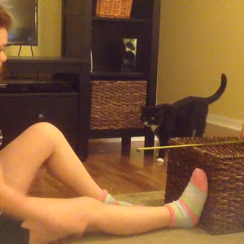 Sit and Reach - Right Leg