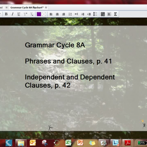 Grammar Cycle 8A Video